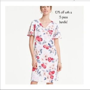 Ann Taylor White Floral Shift Dress